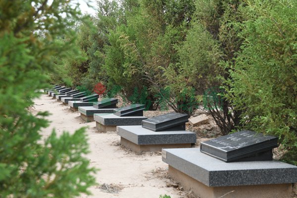 欧博abg(Allbet)官网登录入口