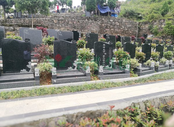 欧博abg(Allbet)官网登录入口