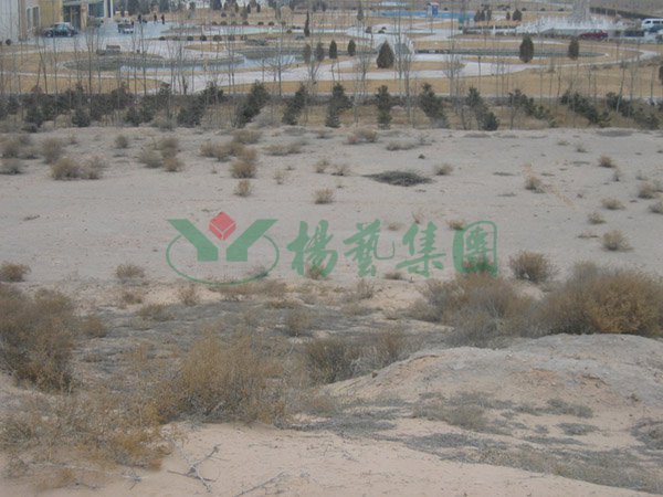 欧博abg(Allbet)官网登录入口