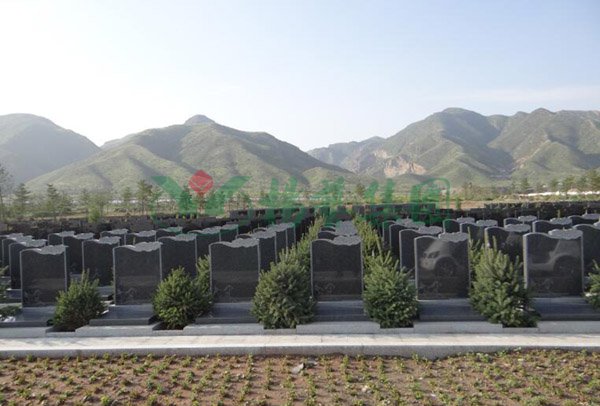 欧博abg(Allbet)官网登录入口