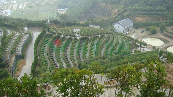 欧博abg(Allbet)官网登录入口