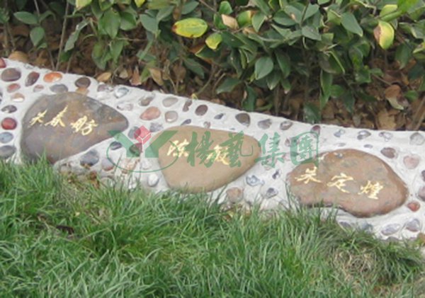 欧博abg(Allbet)官网登录入口