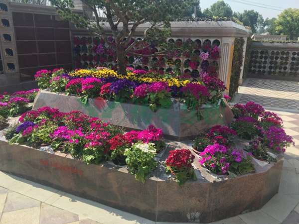 欧博abg(Allbet)官网登录入口