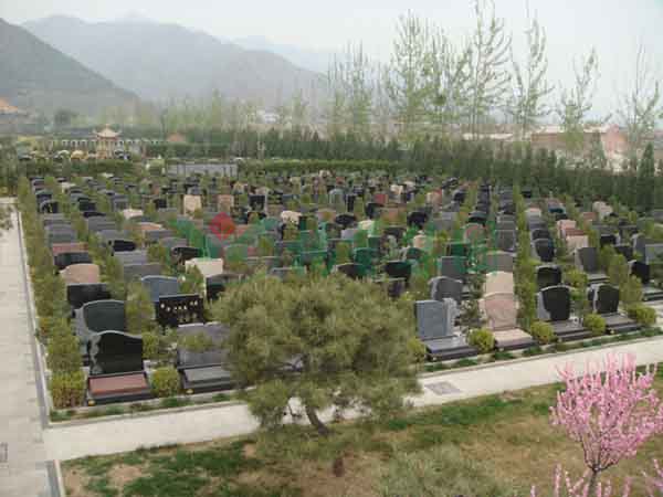 欧博abg(Allbet)官网登录入口