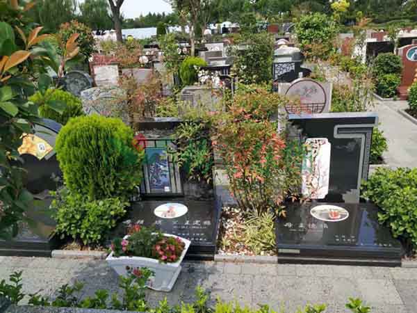 欧博abg(Allbet)官网登录入口