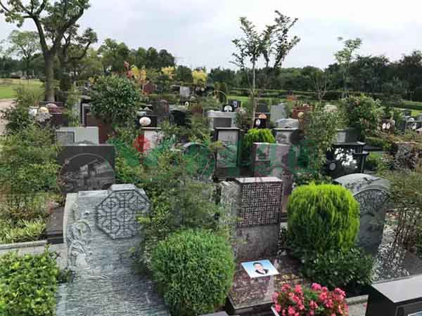 欧博abg(Allbet)官网登录入口