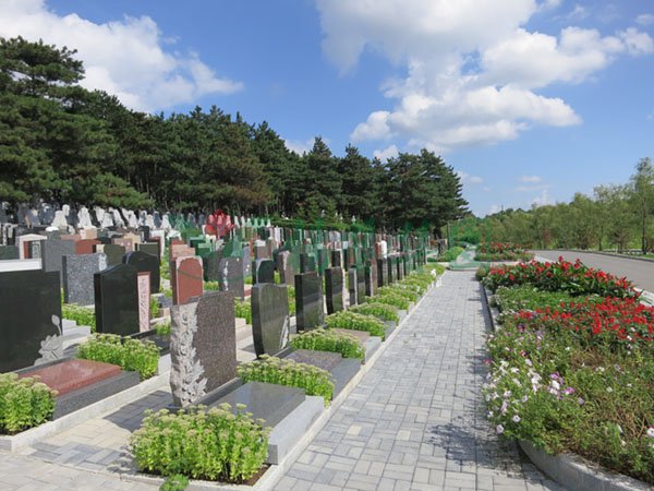 欧博abg(Allbet)官网登录入口