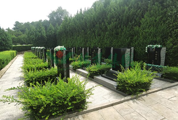 欧博abg(Allbet)官网登录入口