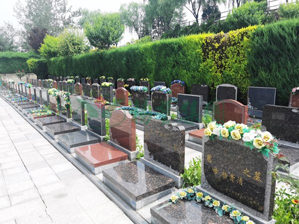 欧博abg(Allbet)官网登录入口