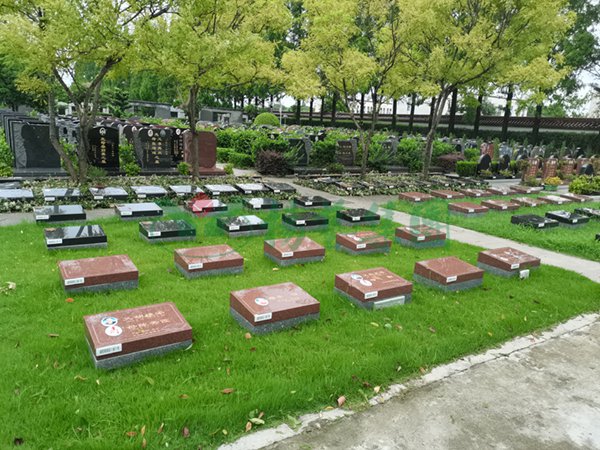 欧博abg(Allbet)官网登录入口