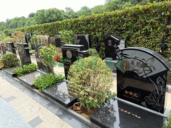 欧博abg(Allbet)官网登录入口