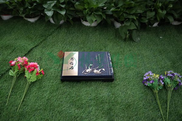 欧博abg(Allbet)官网登录入口