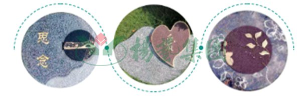 欧博abg(Allbet)官网登录入口