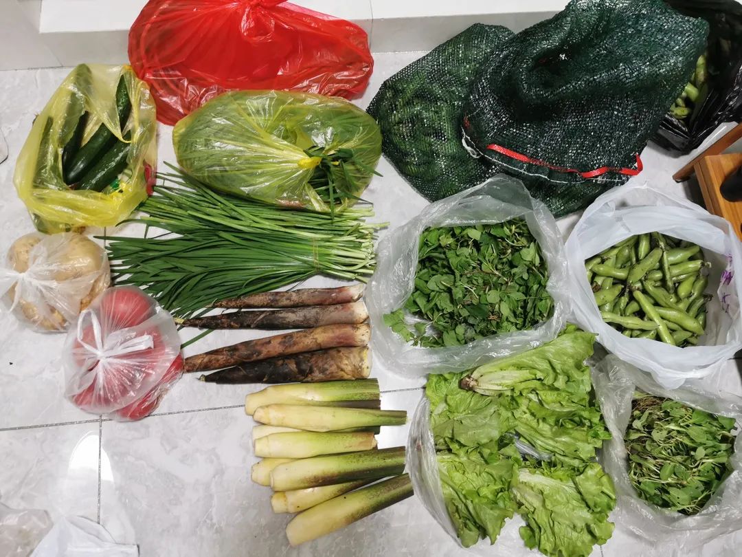 欧博abg(Allbet)官网登录入口