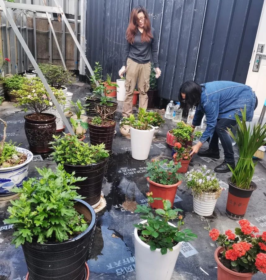 欧博abg(Allbet)官网登录入口