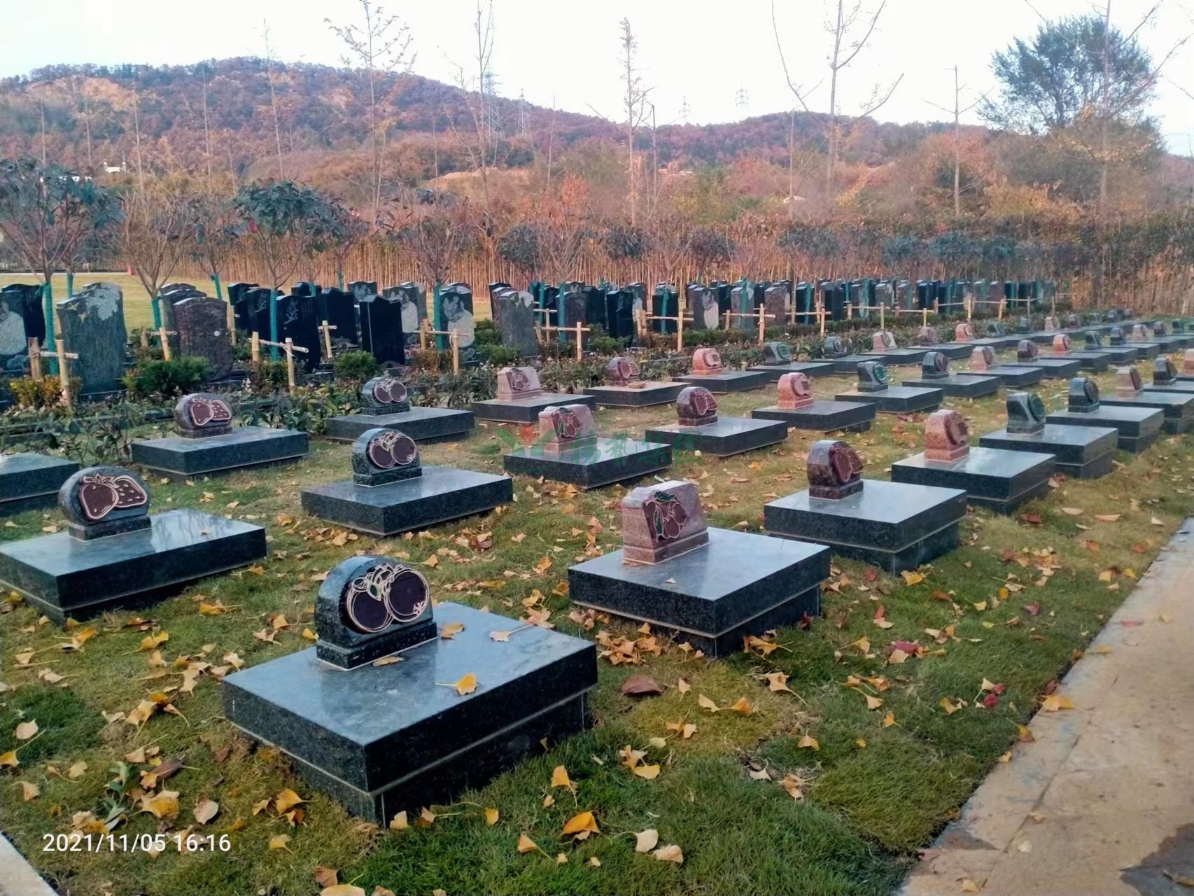 欧博abg(Allbet)官网登录入口