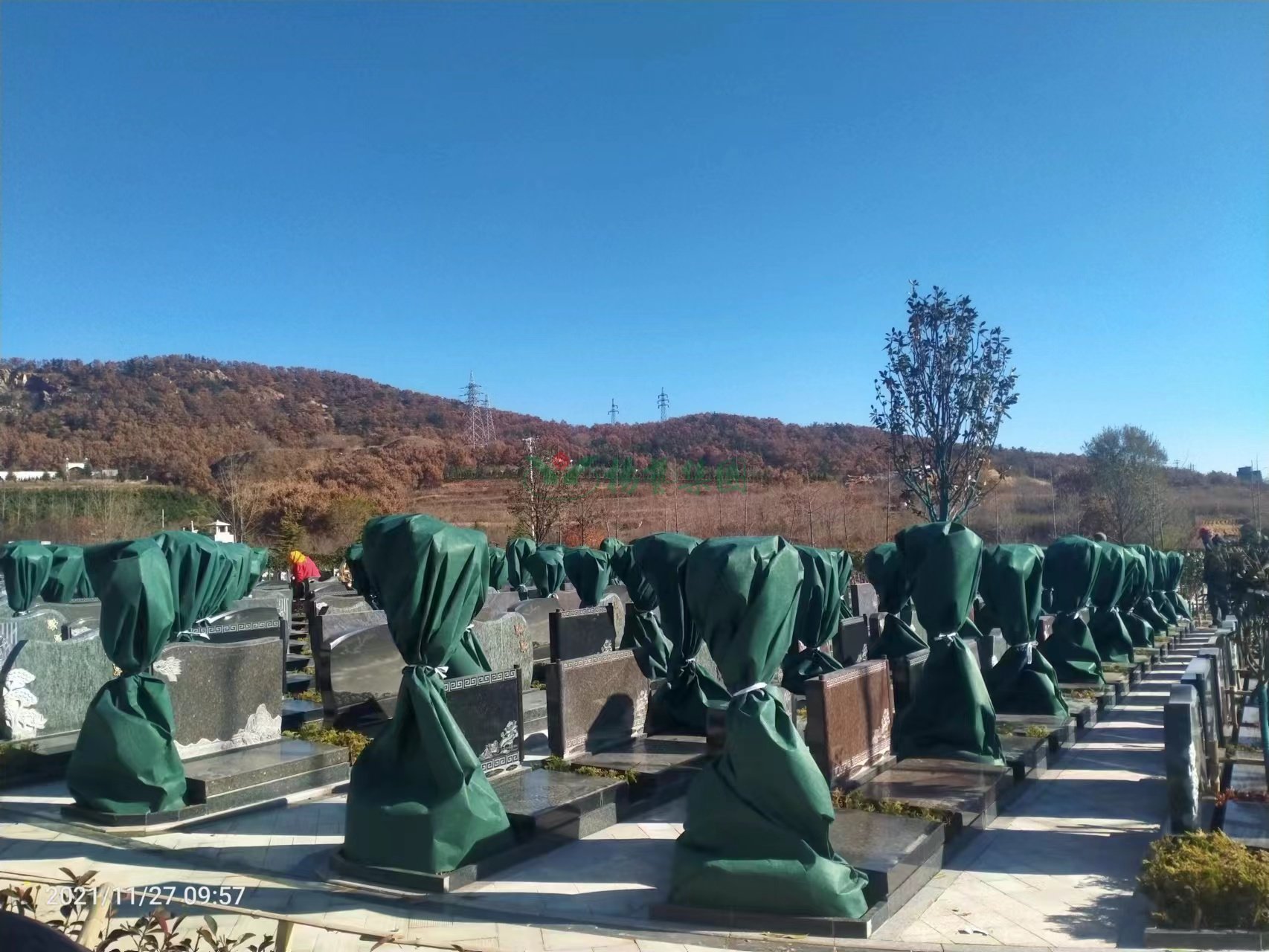 欧博abg(Allbet)官网登录入口