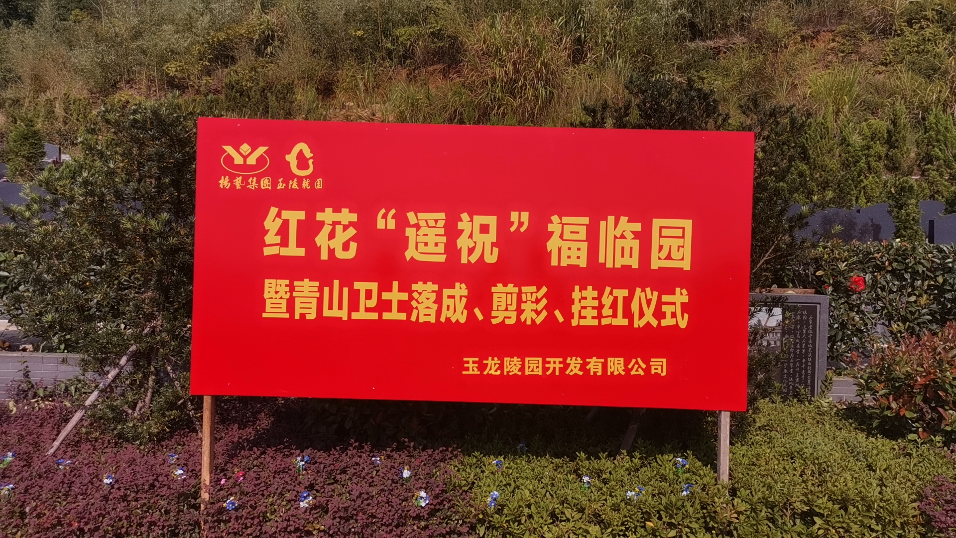 红花传爱意，情满玉龙园！