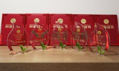 “欧博abg杯”浙江省节地生态埋葬设计作品奖