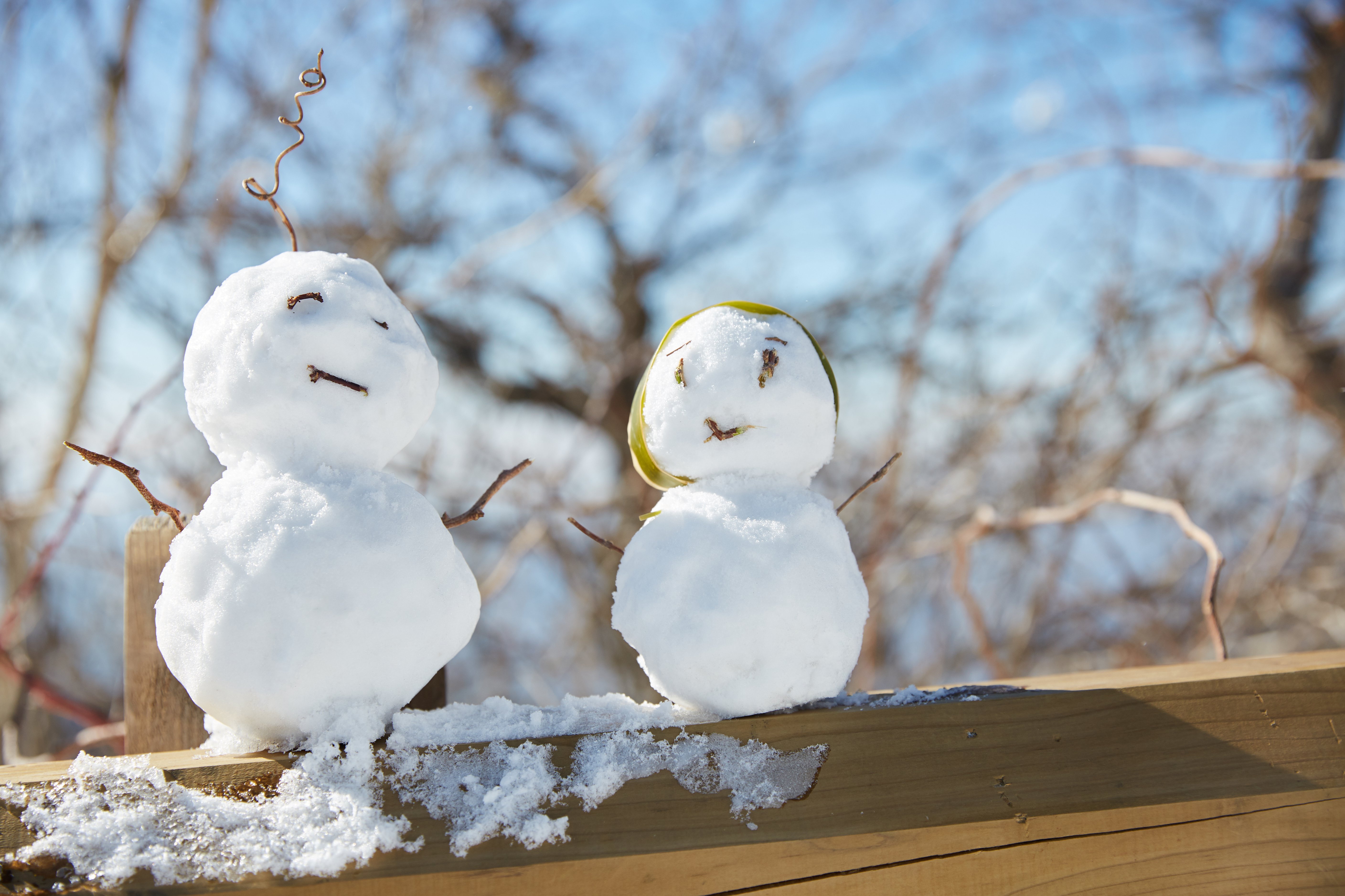 冬至，暖“杨”相伴 | 欧博abg人全力配合各墓园冬至落葬