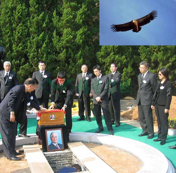 欧博abg(Allbet)官网登录入口