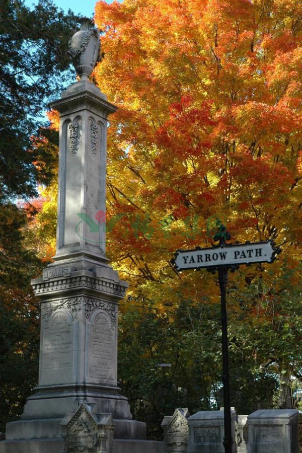 欧博abg(Allbet)官网登录入口