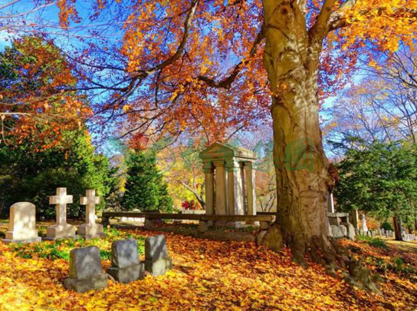 欧博abg(Allbet)官网登录入口