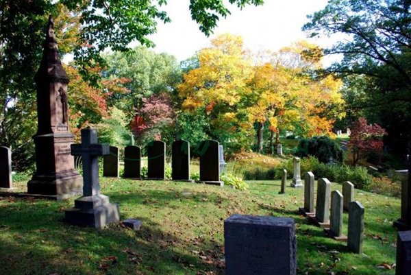 欧博abg(Allbet)官网登录入口