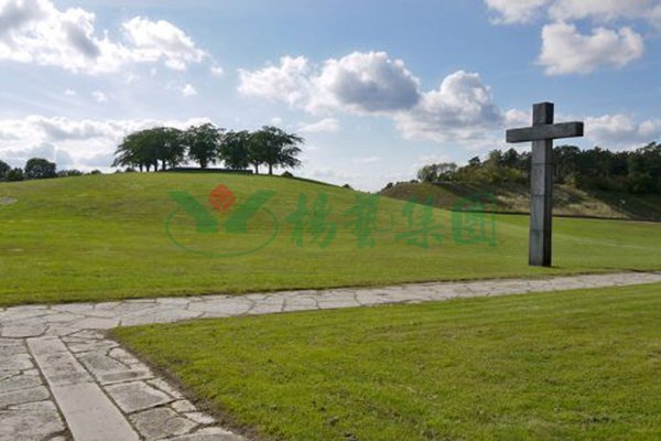 欧博abg(Allbet)官网登录入口