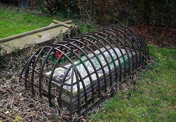 欧博abg(Allbet)官网登录入口