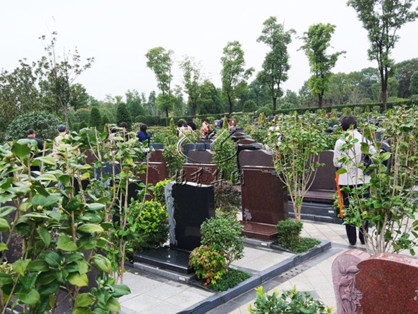 欧博abg(Allbet)官网登录入口