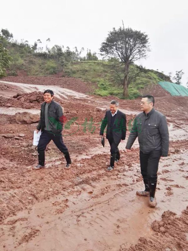 欧博abg(Allbet)官网登录入口