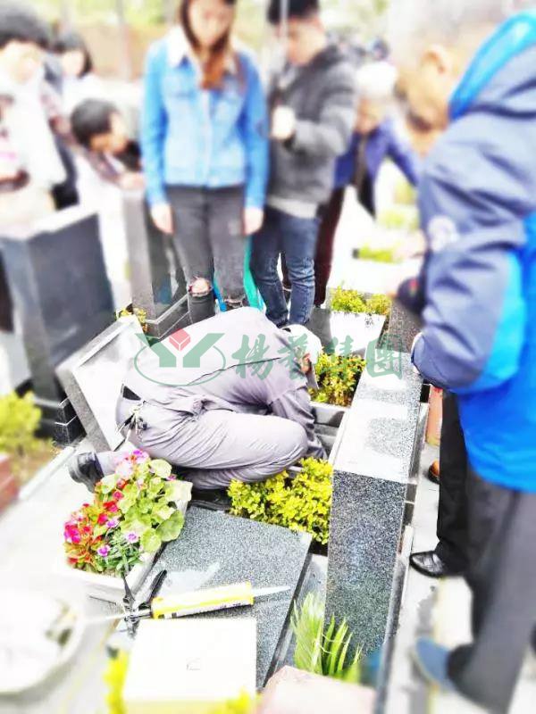 欧博abg(Allbet)官网登录入口