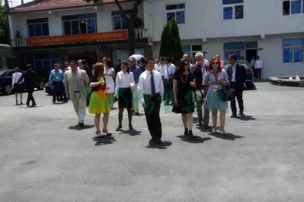 欧博abg(Allbet)官网登录入口