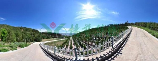 欧博abg(Allbet)官网登录入口