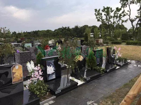 欧博abg(Allbet)官网登录入口