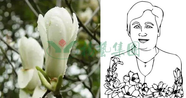 欧博abg(Allbet)官网登录入口