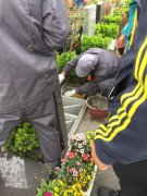 【欧博abg人别样清明】2018年清明落葬事情圆满完成