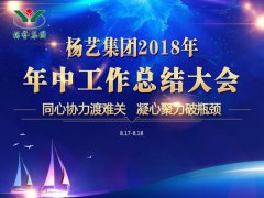 欧博abg集团2018年中总结报告（摘要）