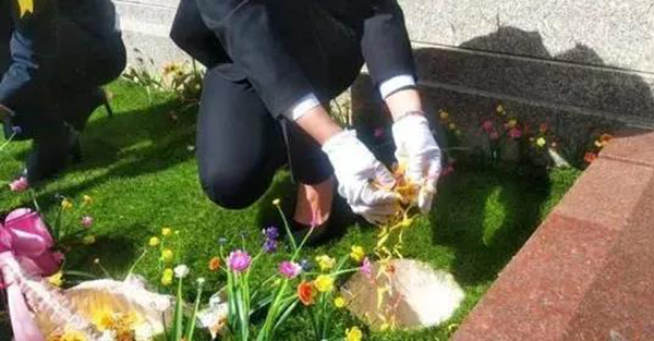 欧博abg(Allbet)官网登录入口