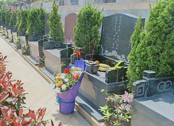 欧博abg(Allbet)官网登录入口