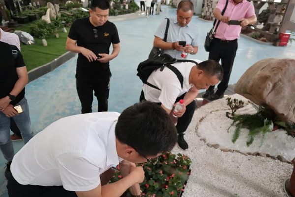 欧博abg(Allbet)官网登录入口