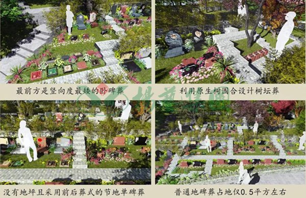 欧博abg(Allbet)官网登录入口