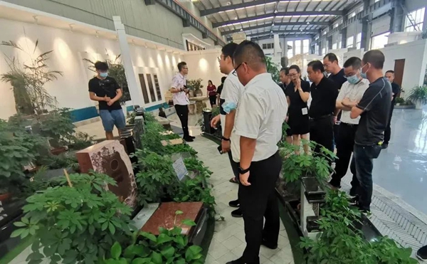 欧博abg(Allbet)官网登录入口