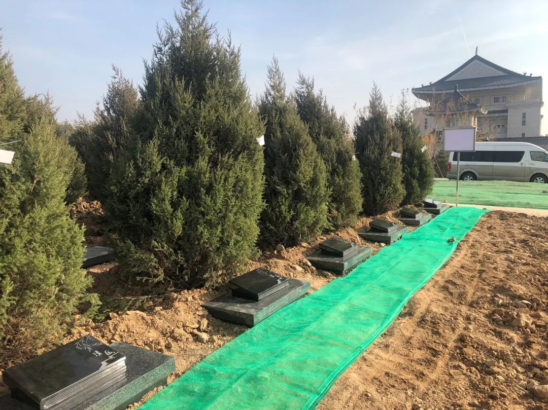 欧博abg(Allbet)官网登录入口