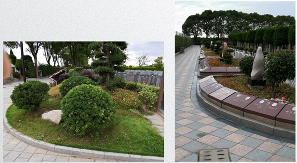 欧博abg(Allbet)官网登录入口