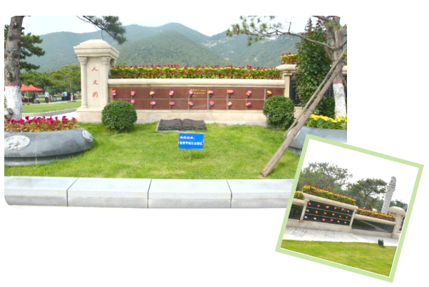 欧博abg(Allbet)官网登录入口