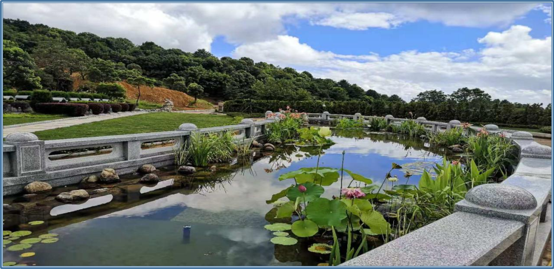 欧博abg(Allbet)官网登录入口