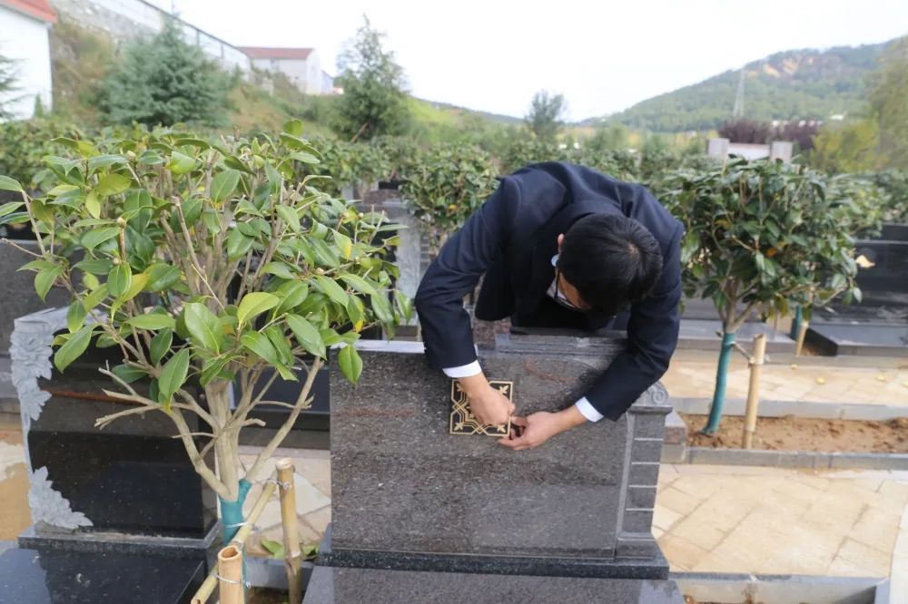 欧博abg(Allbet)官网登录入口