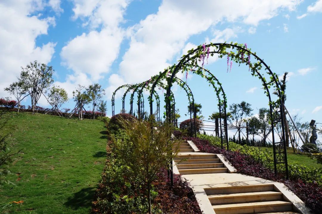 欧博abg(Allbet)官网登录入口